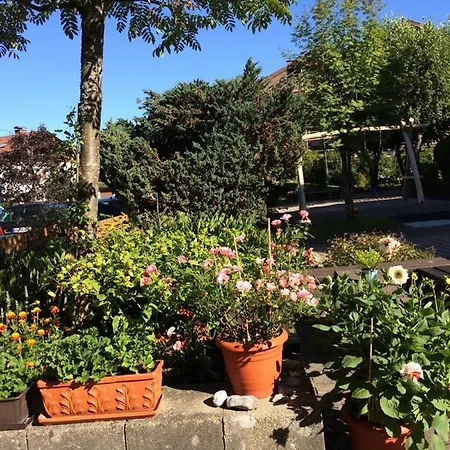 Apartment Silberdistel