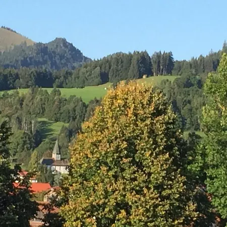 Silberdistel *